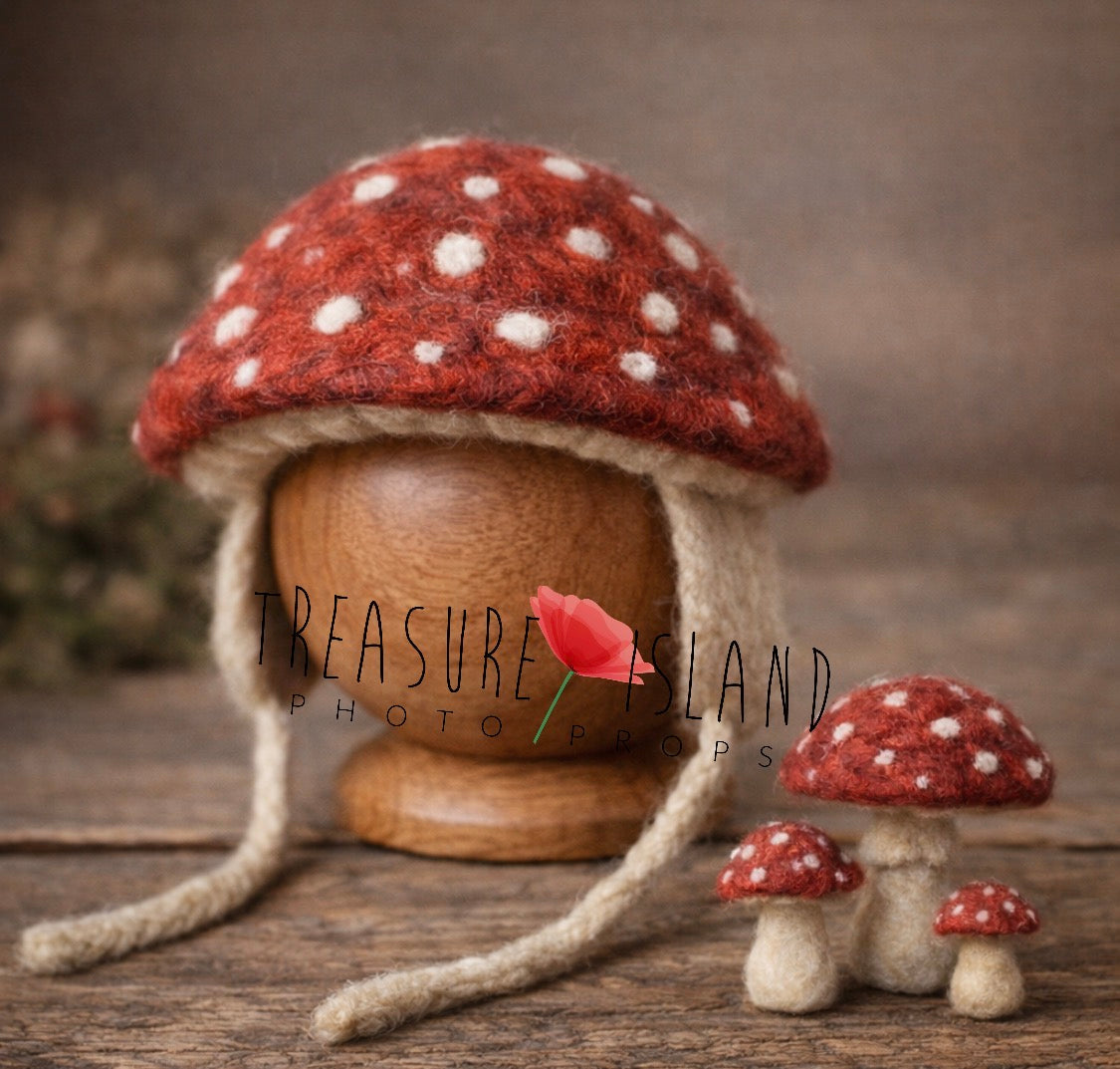 hand felted mushroom bonnet and felt mushrooms newborn woodland photography prop set