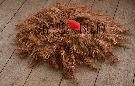 Milk Chocolate hand felted curly wool blanket with natural sheep curls for newborn photography