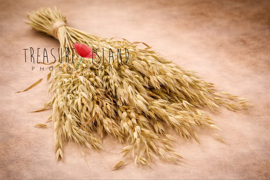 natural grain bouquet fine art photography prop, dried botanical styling element, earthy tones floral prop for maternity and boho photography
