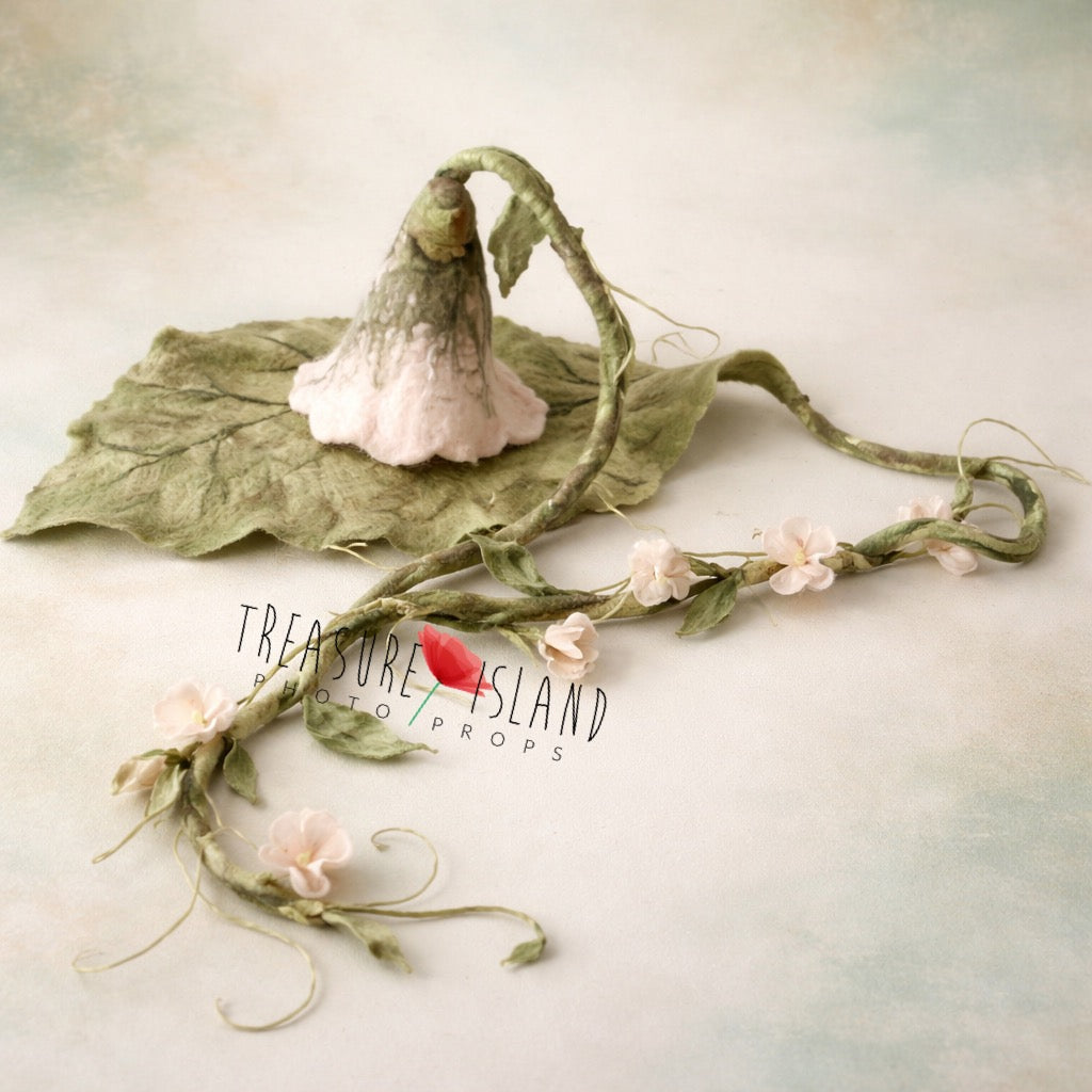 Sweet Pea Botanical Collection - Photo props