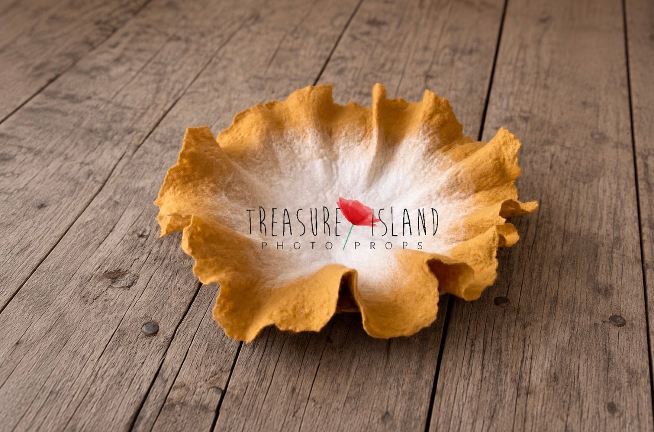 Felted Petal Nest Blanket - Newborn photo  props