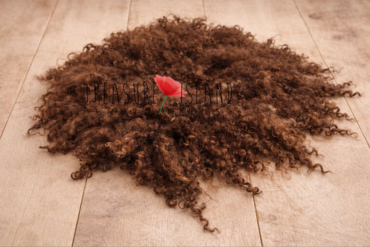 Hand-felted newborn photography blanket in warm milk chocolate brown tone, natural curly sheep wool styled on rustic wooden floor