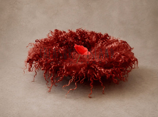 RUST Curly Wool Blanket | Hand Felted Natural Sheep Curls Photography Prop