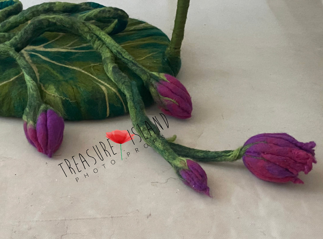 Detail of soft hand-felted newborn posing nest with botanical texture