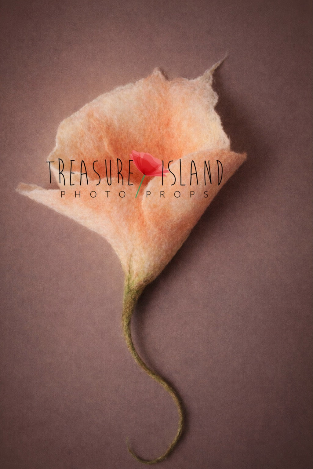 Felted Posing Flower for Newborn Photography