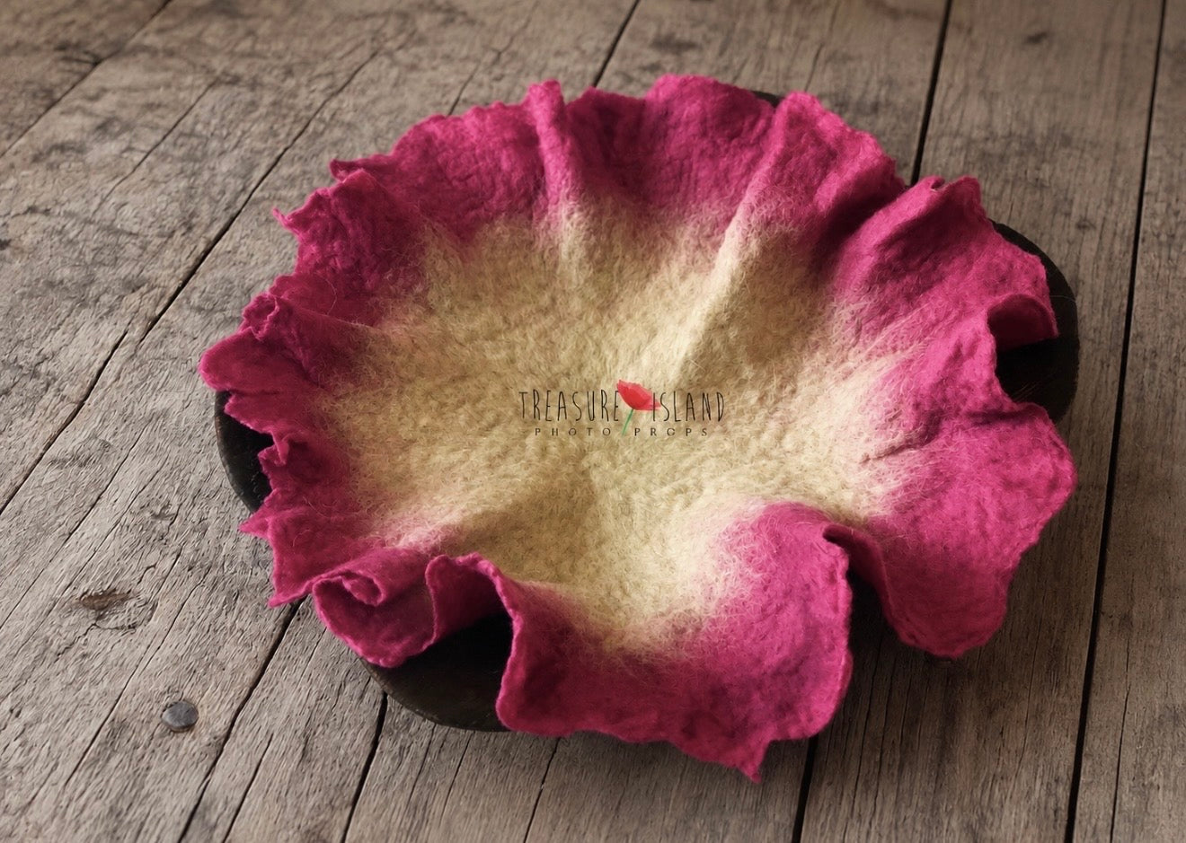 Felted Petal Nest Blanket - Newborn photo  props