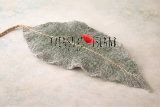 Option 1 (bardziej opisowy, premium):
Hand felted gumnut leaf newborn photography prop in Dusty Sage, soft textured wool leaf with natural veining detail