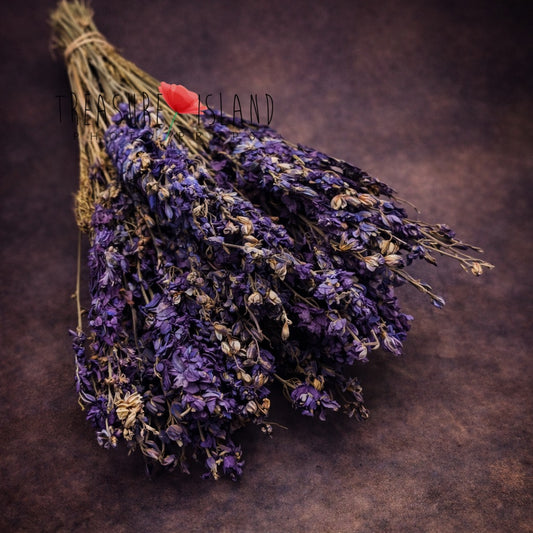 Dried purple delphinium bouquet styled on warm brown fine art background, delicate textured blossoms with natural stems, floral prop for newborn photography and fine art styling