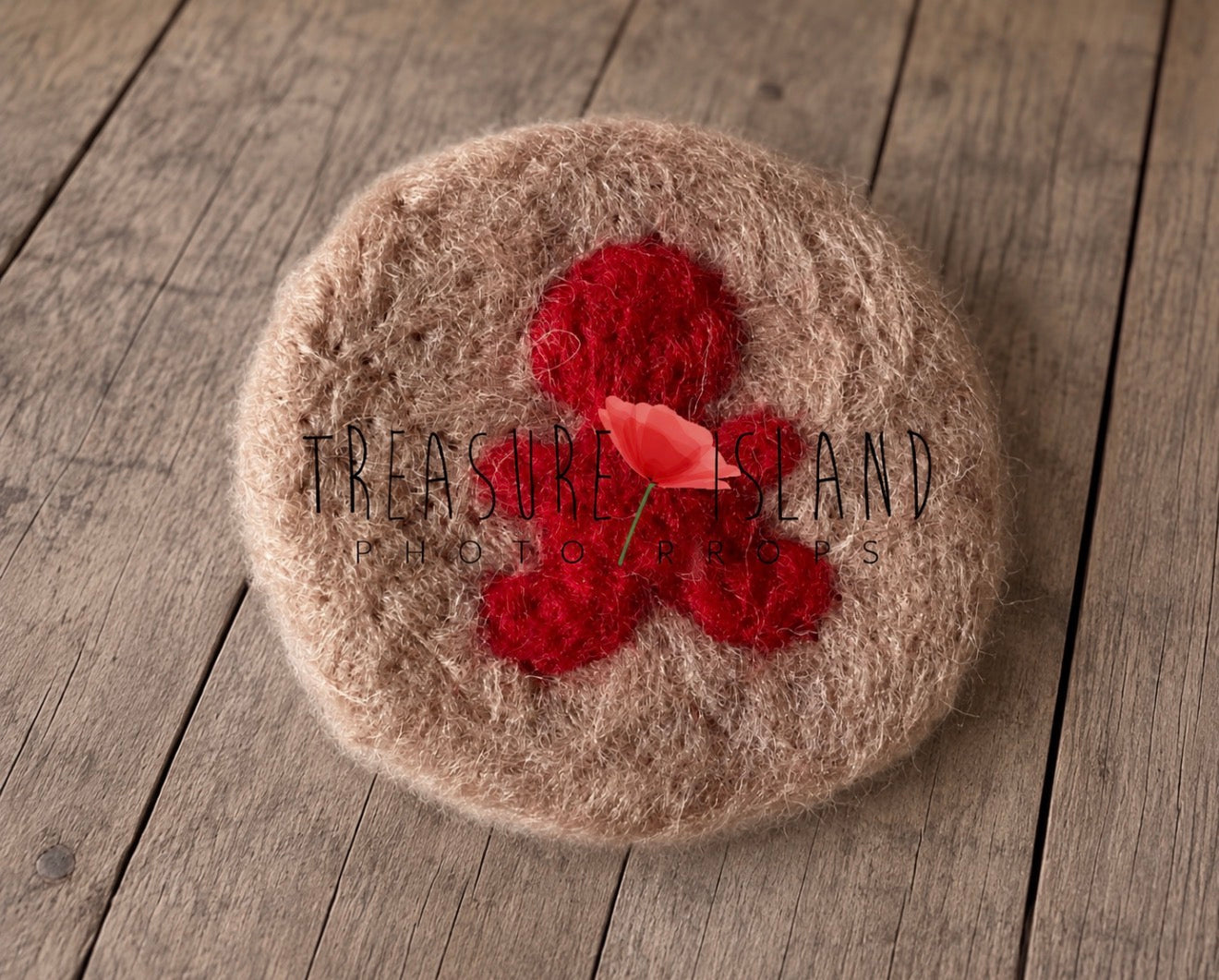 FELTED CHRISTMAS COOKIES - Handmade Wool Photography Props