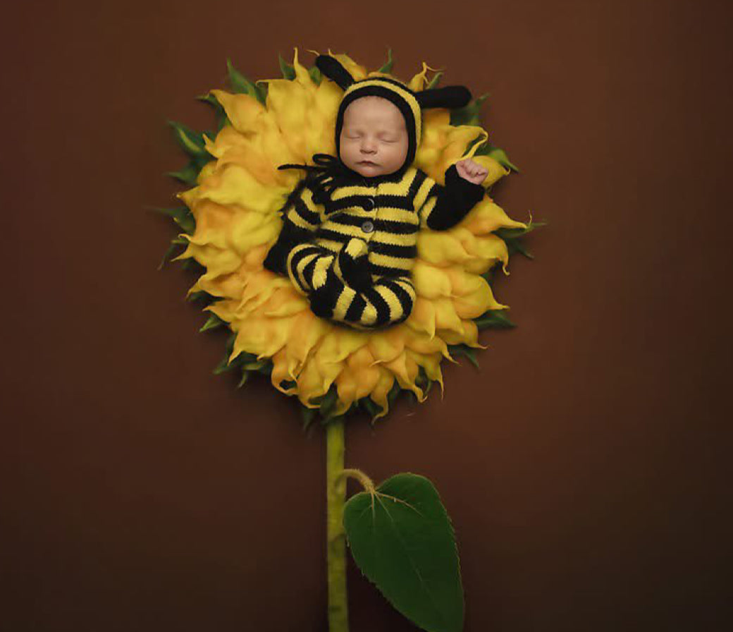 Felted sunflower blanket used in a newborn photography setup