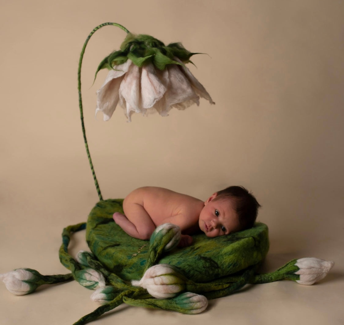 Fine art newborn photography setup with felted flower nest and trailing floral vine