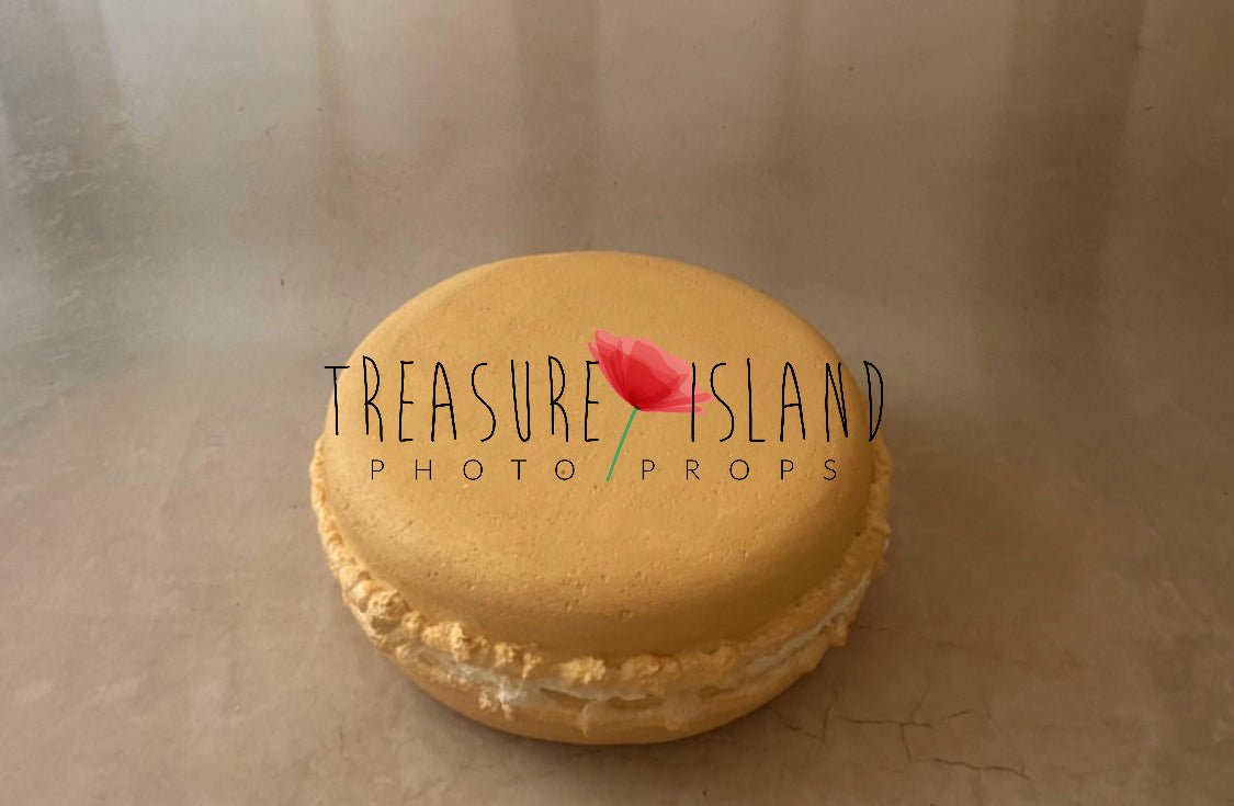 Giant biscuit styrofoam macaron prop for Cake Smash photography