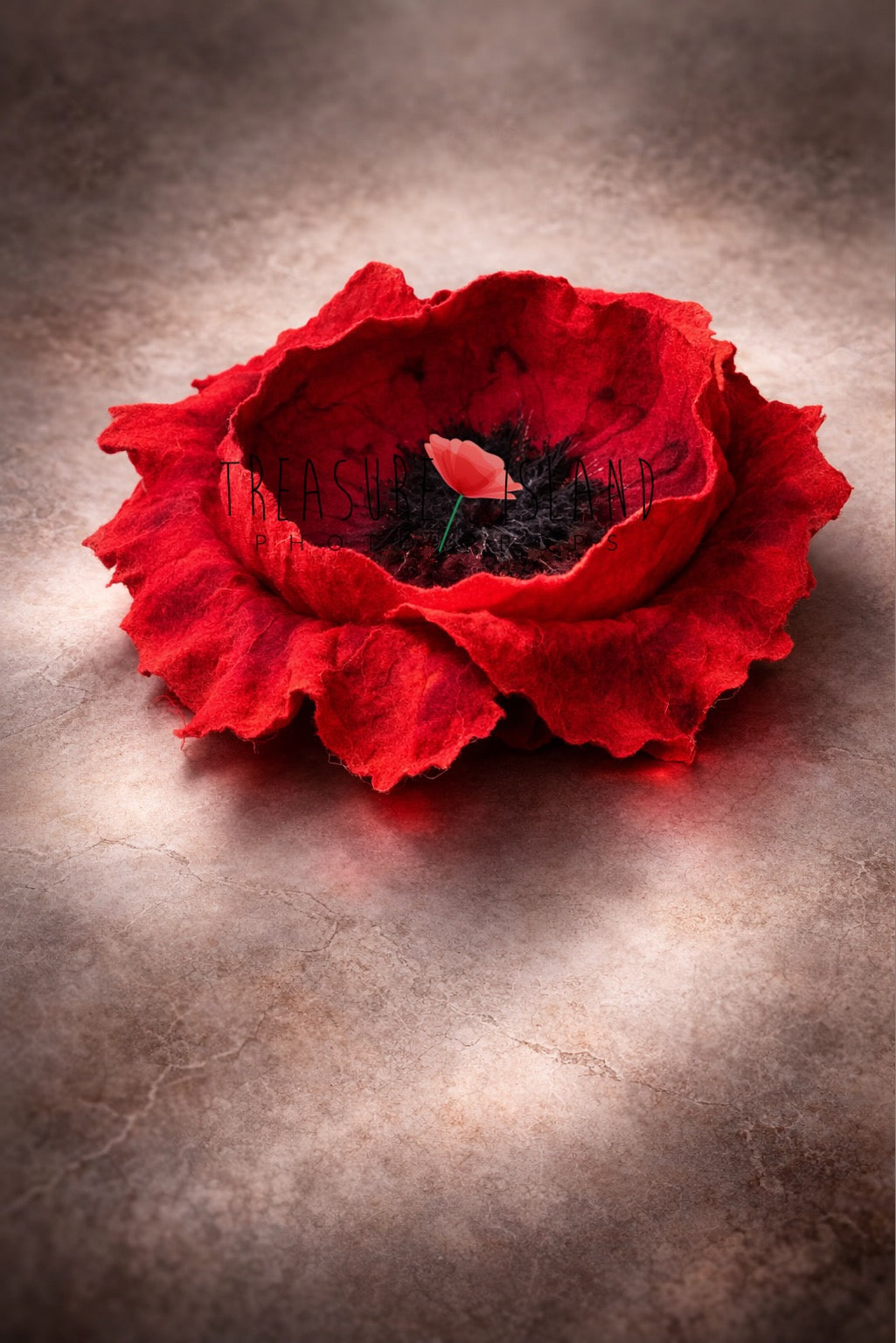 Large hand-felted poppy flower posing prop for newborn and sitter photography