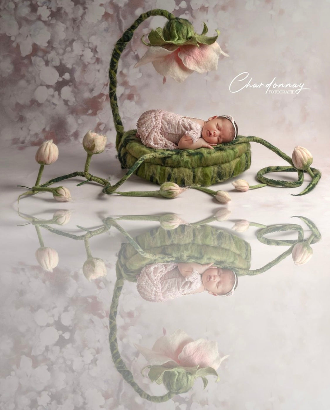 Botanical newborn photography styling with felted nest, flower and long flexible vine