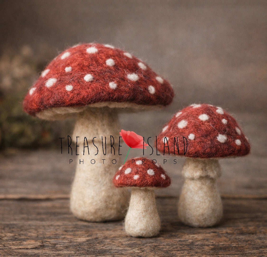 Three hand-felted Amanita mushrooms for woodland newborn and sitter photography