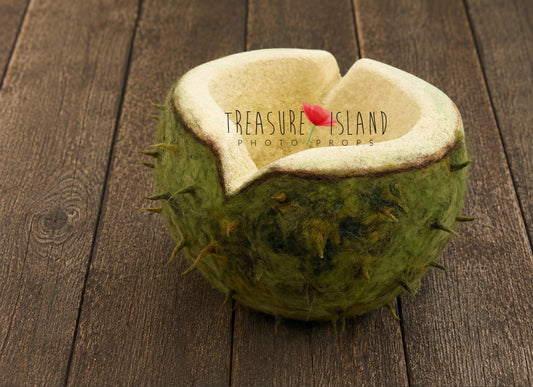 Handmade chestnut shell bowl with green felted wool exterior for newborn photography
