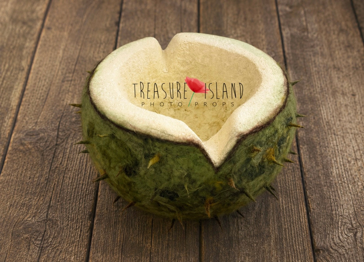 Chestnut shell newborn posing bowl with cream interior and hand-felted green wool exterior