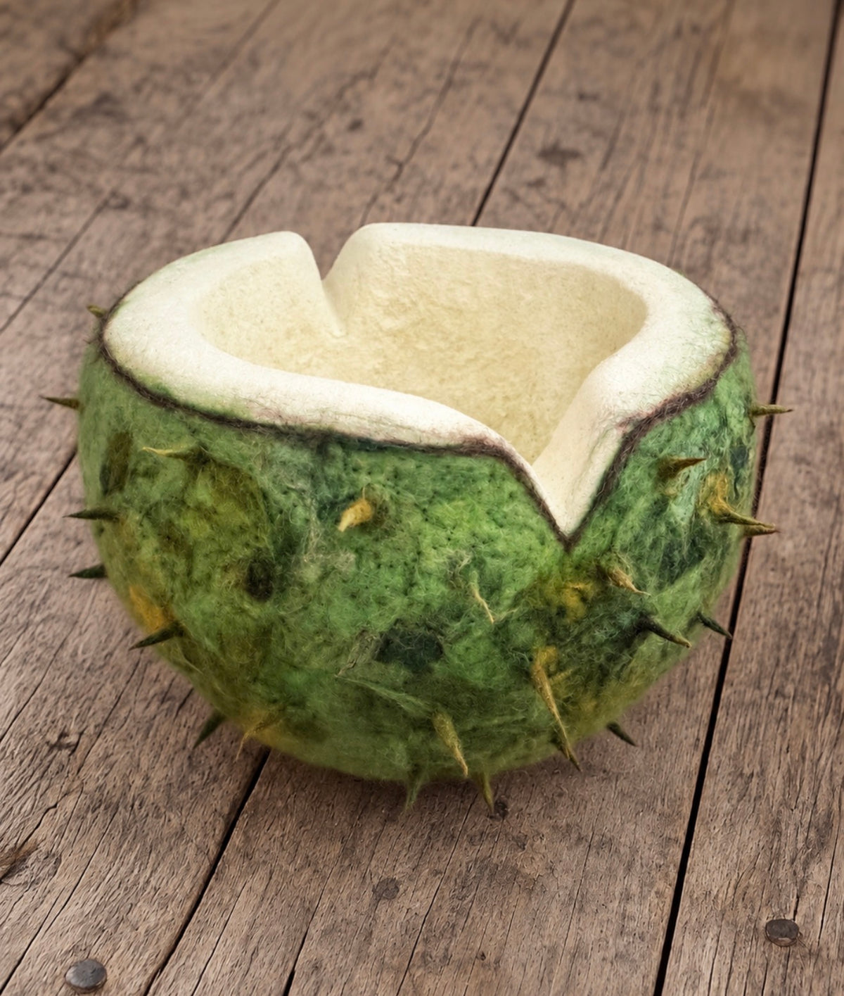 Green chestnut shell bowl with cream interior for woodland newborn photography