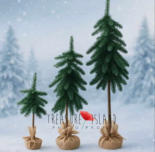 Three classic green Christmas trees in different sizes for winter photography setups