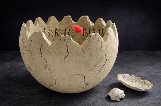 Sandy styrofoam Dinosaur Eggshell photography prop with hand-finished crack details