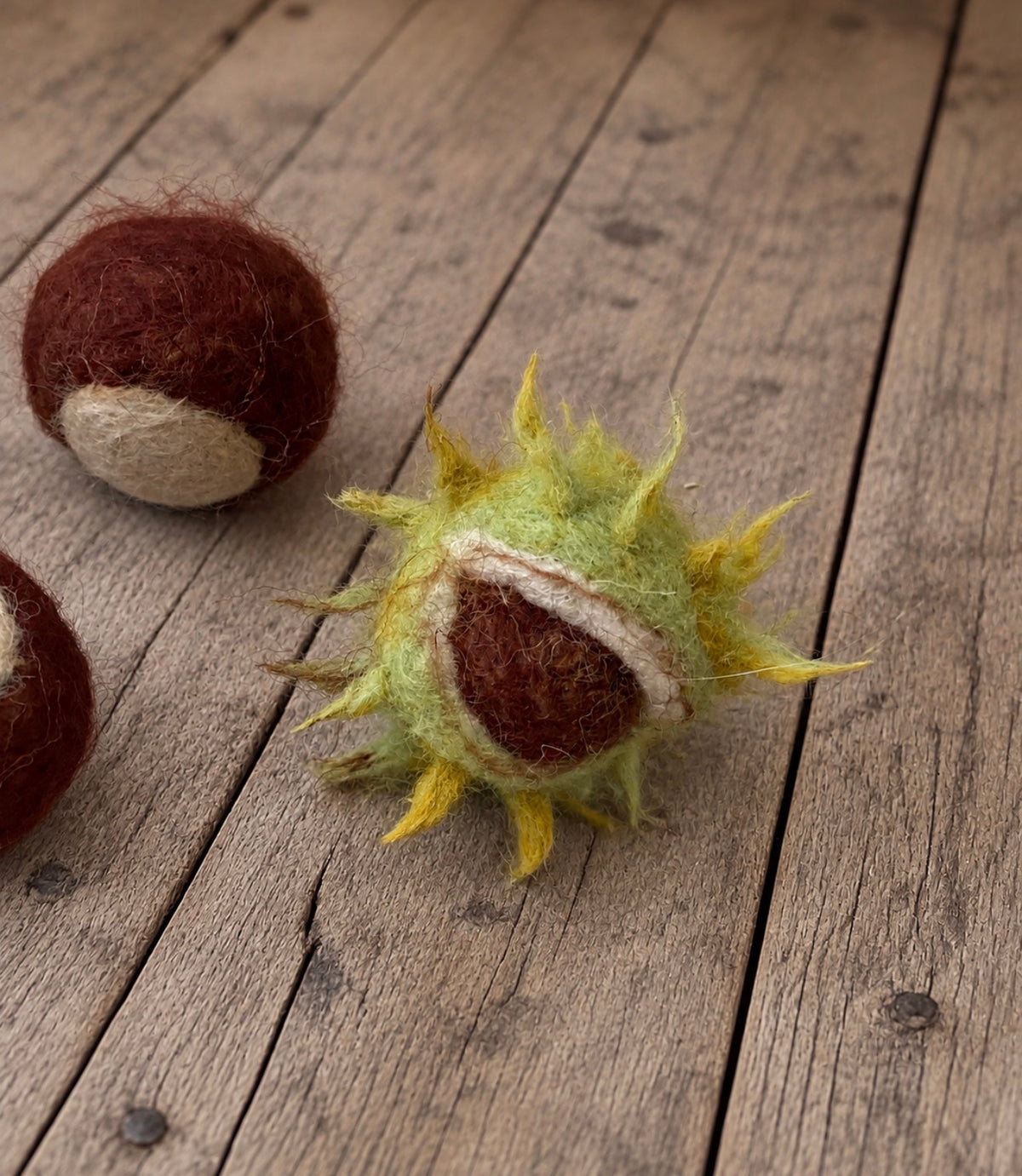 Close-up of handmade felted chestnut inside a textured green spiky shell