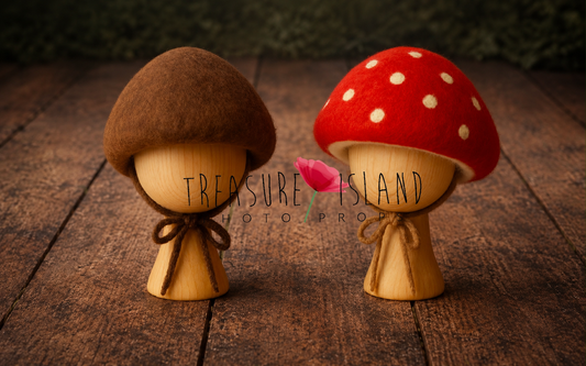 Hand-felted Bolete and Amanita mushroom baby hats for newborn and sitter photography
