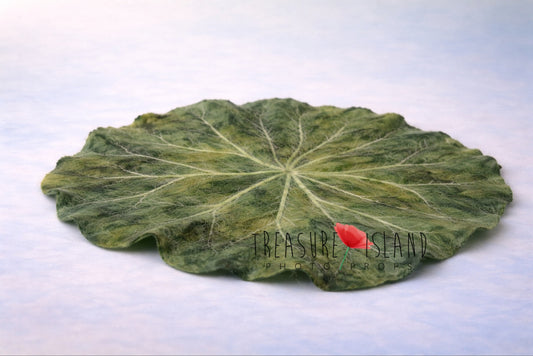 Full round hand-felted water lily leaf botanical posing prop for newborn photography