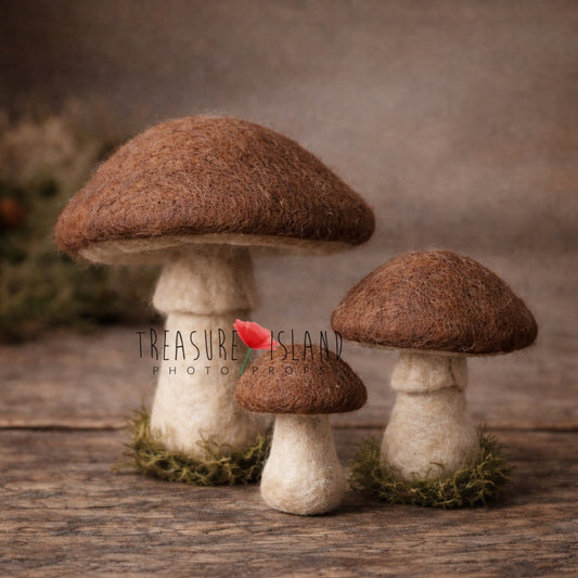 Three hand-felted bolet mushrooms in natural brown and cream tones for woodland photography styling
