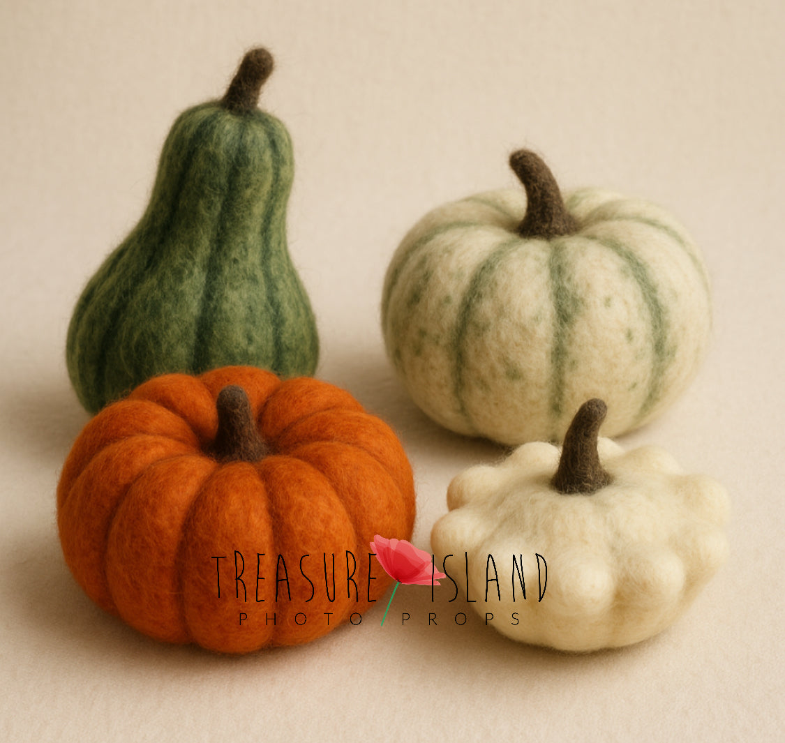 Five hand-felted harvest pumpkins and gourds in autumn colours for newborn photography