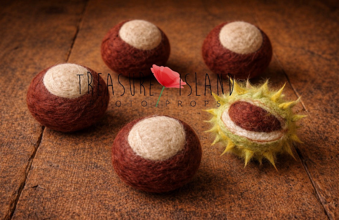 Handmade felted mini chestnut set with four chestnuts and a spiky green shell for autumn photography