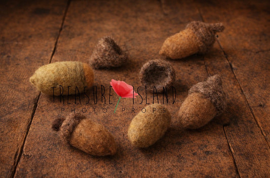 Handmade felted woodland acorn set in natural brown and earthy wool tones for autumn photography