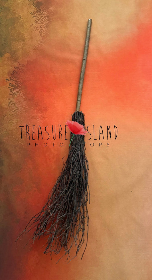 Handmade natural branch Witch broom for Halloween and Fine Art photography