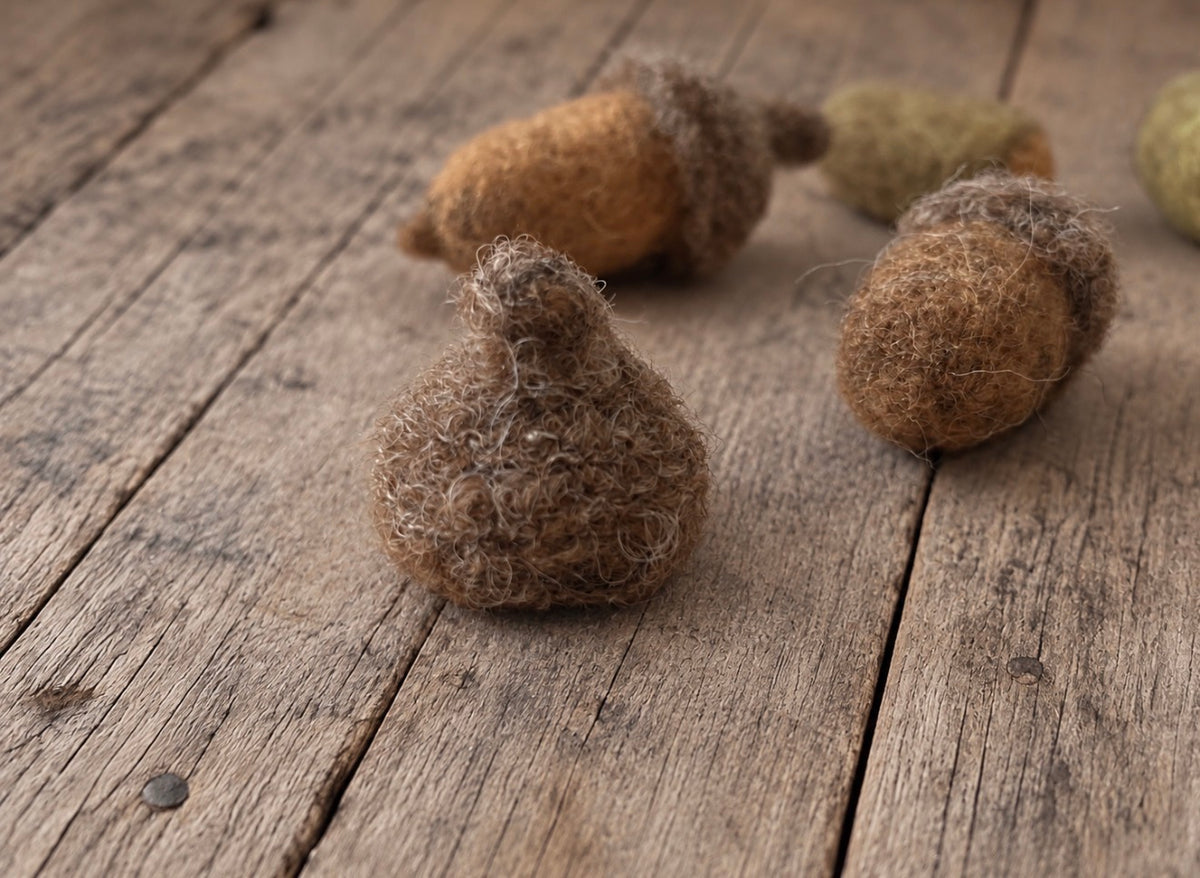 Handmade wool felt acorns and separate acorn caps for woodland newborn photography styling