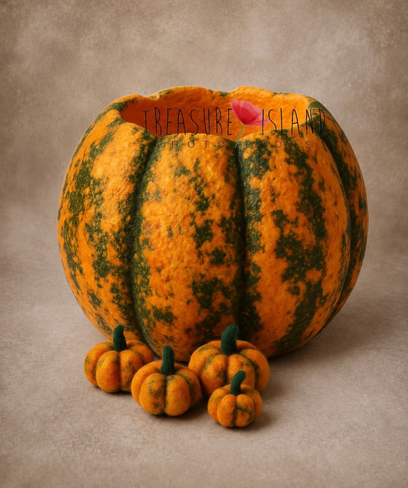 Heirloom harvest pumpkin bowl in orange and botanical green for newborn and sitter photography