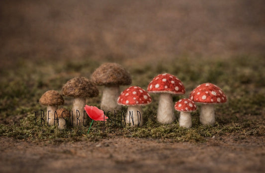 Mini hand-felted bolet and amanita mushrooms for woodland newborn photography styling