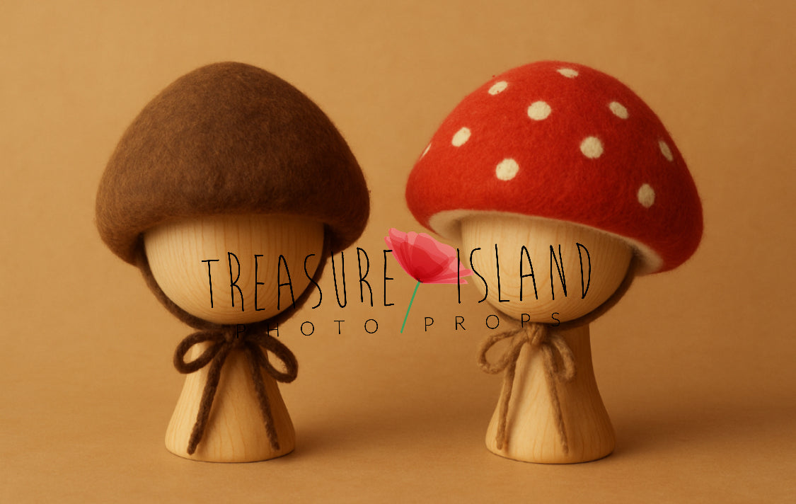 Brown Bolete and red Amanita mushroom hats for woodland and fairytale baby photography