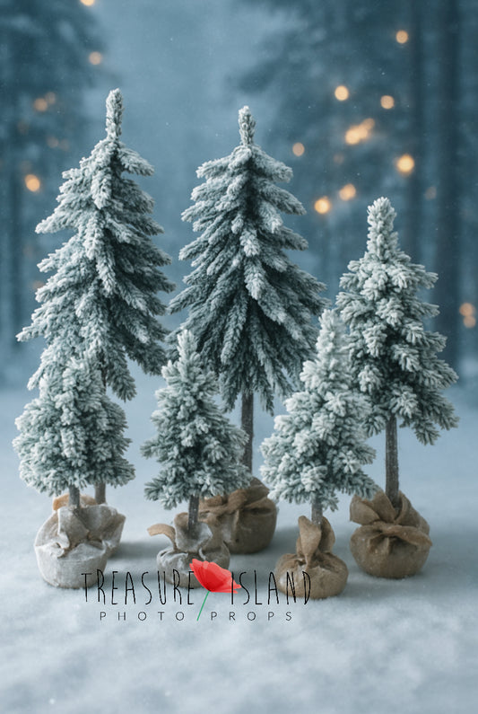 Group of snow-covered Christmas trees in different sizes for winter photography setups