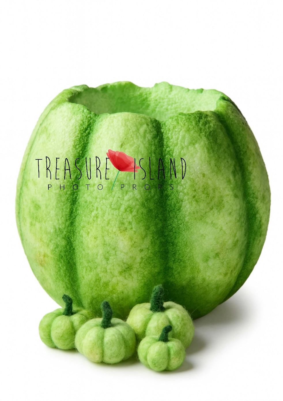 Green Verdant pumpkin bowl with matching felted mini pumpkins for newborn and sitter photography on white backdrop