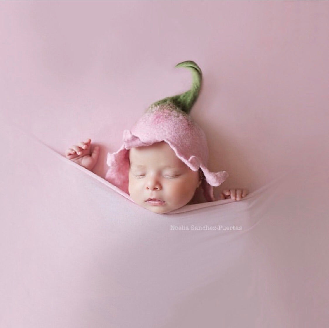 Pink felted flower hat worn by a newborn during a photography session