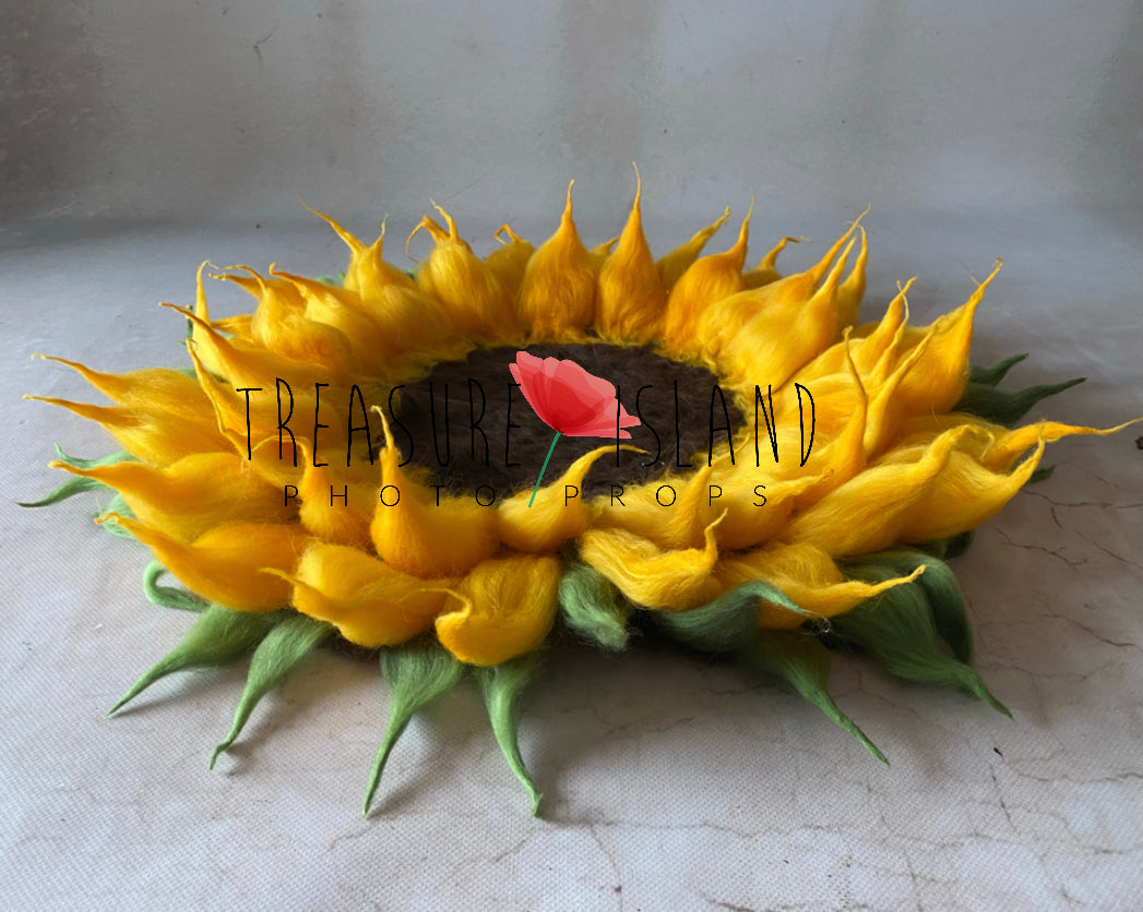 Round felted sunflower blanket for newborn photography