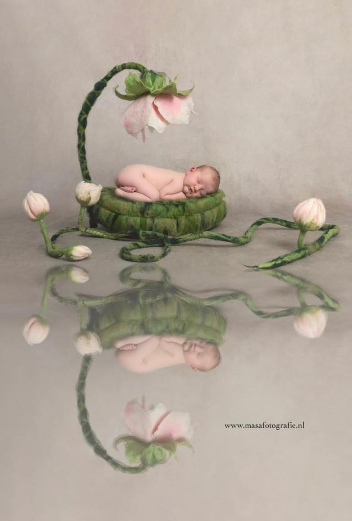 Thumbelina felted floral nest and flower vine used in a newborn photography session