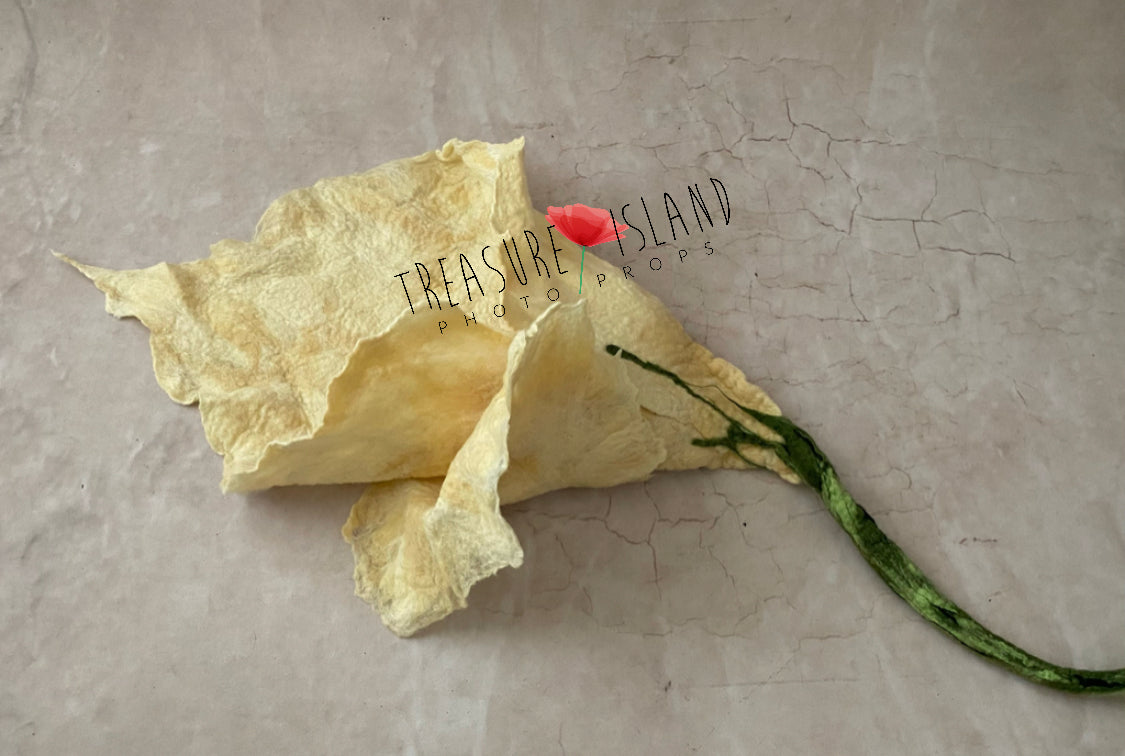 Hand-felted newborn posing flower in vanilla wool