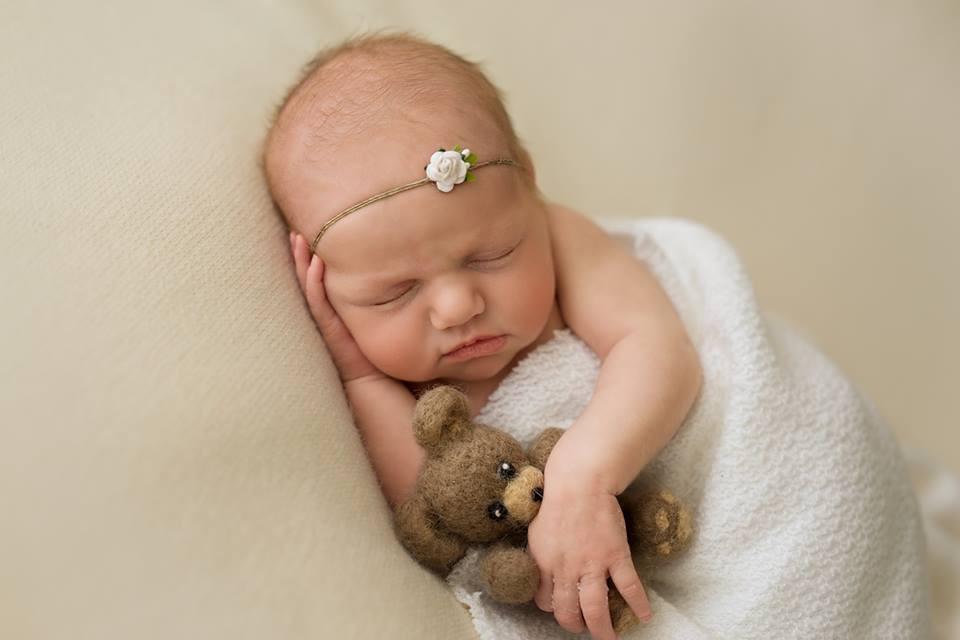 TEDDY BEAR HAT and TOY felt animals felt animal NEEDLE animal NEEDLE animals