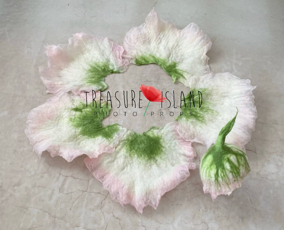 ✨Flower BOWL SET ✨ ALL RIGHT RESERVED ✨Felted bowl✨ wrap ✨flower hat ✨