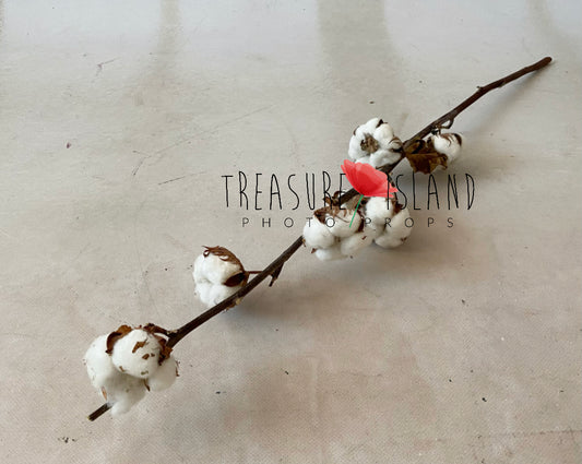 REAL COTTON TWIG