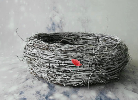 SNOWY  NEST