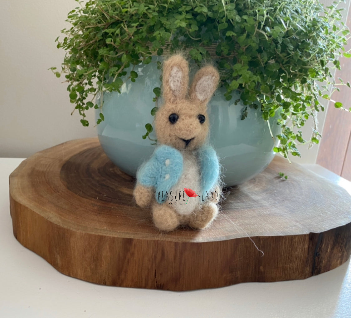 Felted  PETER RABBIT toy