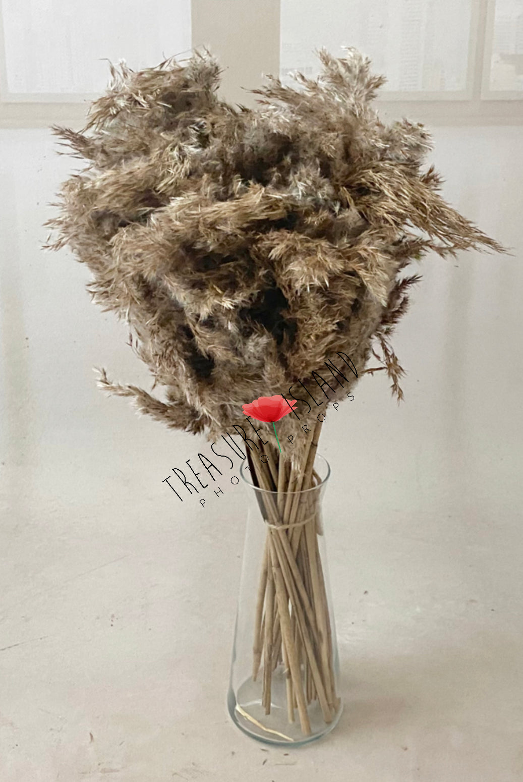 ✨NATURAL PAMPAS GRASS 60 cm✨BOHO design ✨10 pieces in SET