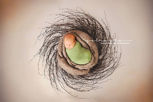SPRING NEST
