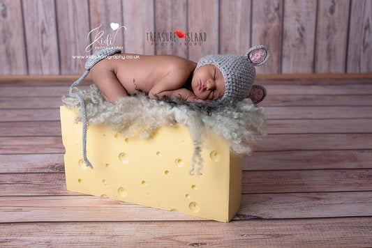 Giant Swiss Cheese Prop – Styrofoam Newborn & Sitter Photography Bowl - Mouse props